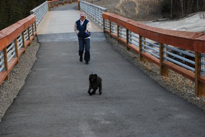 SARA AND CHARLIE LOVED TO TAKE WALKS ON THE BRIDGE OVER THE RIVER AT DENALI VILLAGE