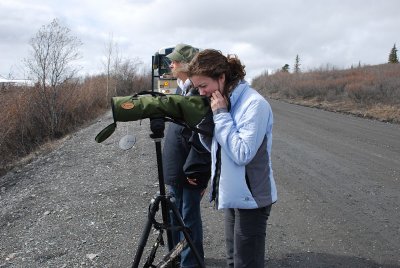 SARA OFTEN SHARES THE JOYS OF BIRDING WITH OTHERS IN THE PARK..