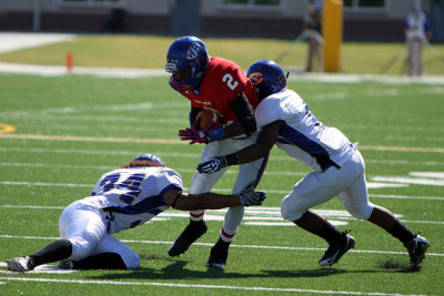 cIMG_3383.JPG