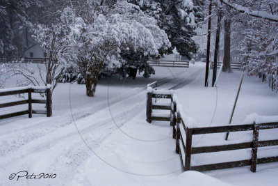 SNOWED IN DRIVEWAY