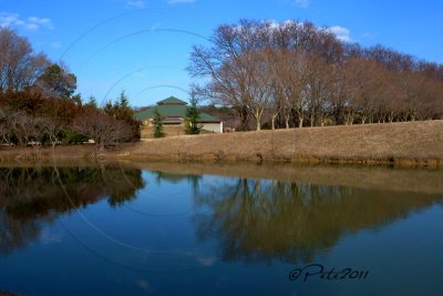 NATO POND