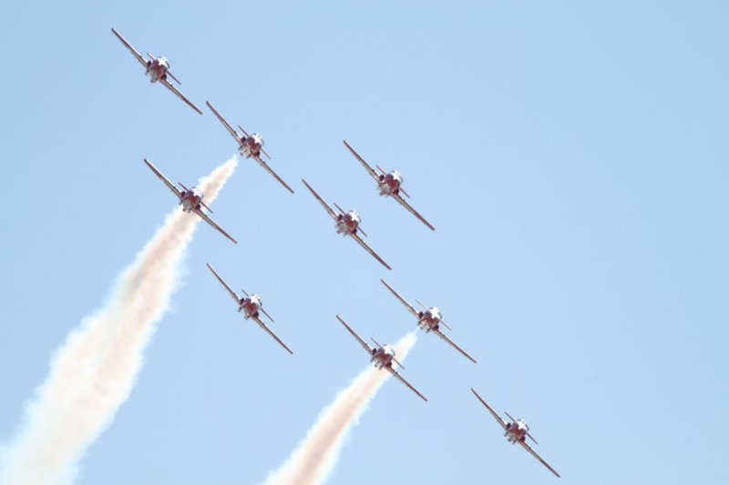 Canadian Snowbirds