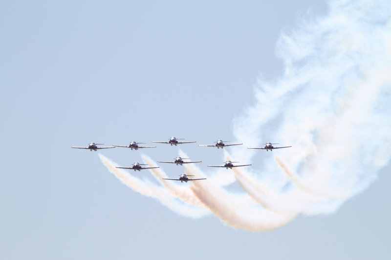 Canadian Snowbirds