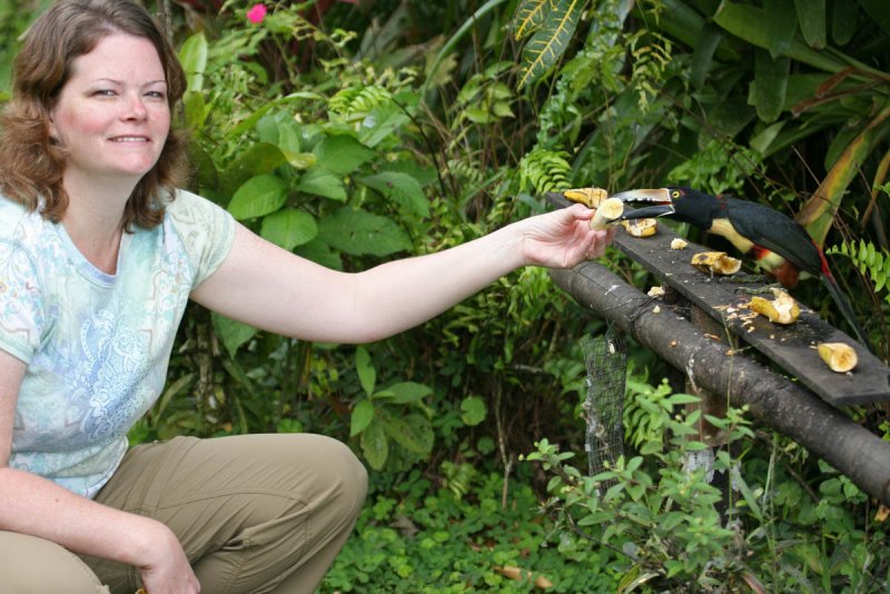 Angela feeding an Aracari bananas