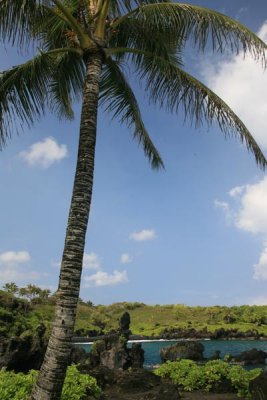 Waianapanapa State Park (Road to Hana)