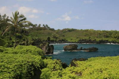 Wai'anapanapa State Park (Road to Hana)