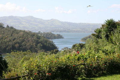 View of Lake Arenal from Chalet Nicholas front  yard