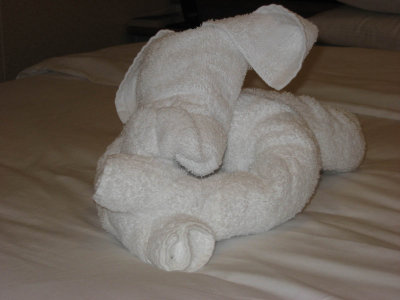Towel Animal in Cabin