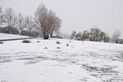 Minigaleria del 02-01-09 - Nevada en Madrid