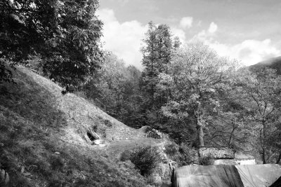 IMG_4397bw.jpg