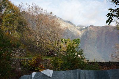 20101017-IMG_5608.jpg