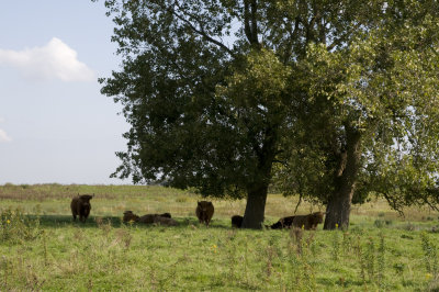 Tiengemeten