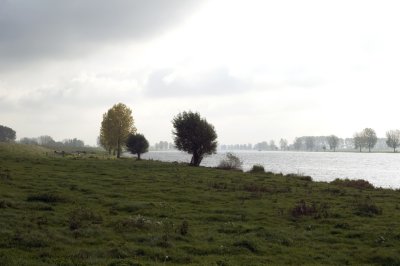 Dussen