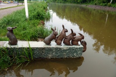Sderkping. Rabbit Crossing by Eva Fornaa