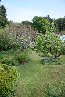 Garden June 2010
