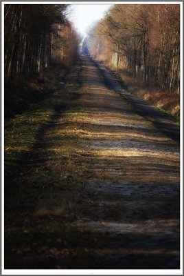  Arenberg pavs de Paris Roubaix