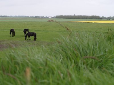 008_texel.jpg