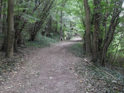 Savelsbos