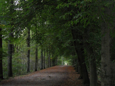 10_waalwijk.jpg