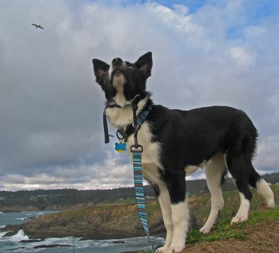 First trip to the coast - 2010