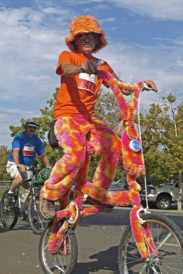 Davis Bike Parade