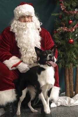 Santa Paws 2010