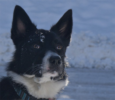 First snowfall