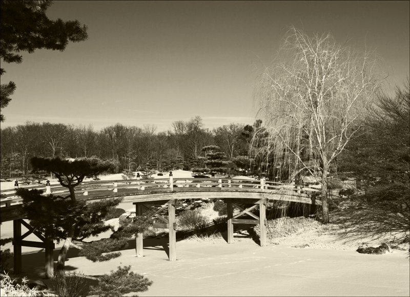 Bridge over Frozen Pond