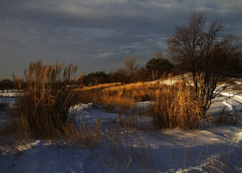 Before Sunset_3753