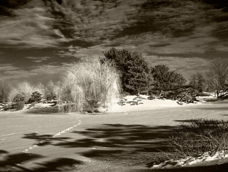 Winter_12_Monochrome.   Too dramatic? Please click on next