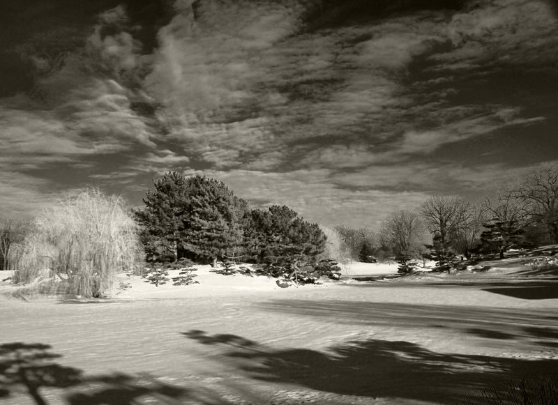 Winter_14_Monochrome.