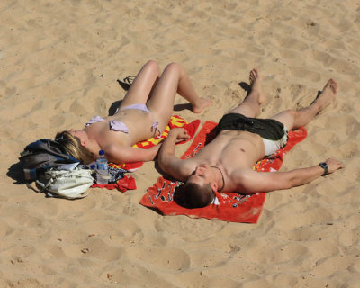 Manly Beach-Sunbathers-displ.jpg
