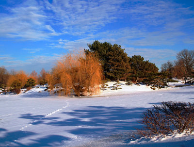 Winter_12. The original color image