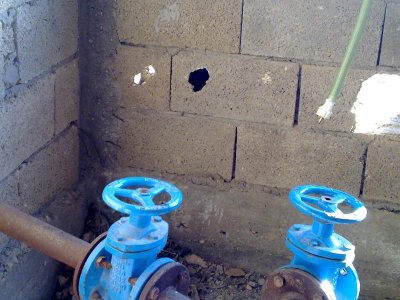 Nest hole of Kurdish Wheatear (Oenanthe xanthoprymna)