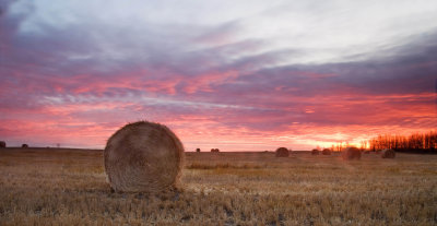 Prairie Harvest Sunrise
