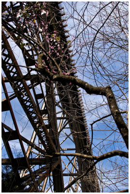 g1/60/498060/3/114327391.xW9AGYFA.jpg