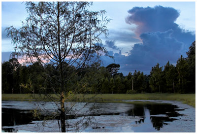 lake