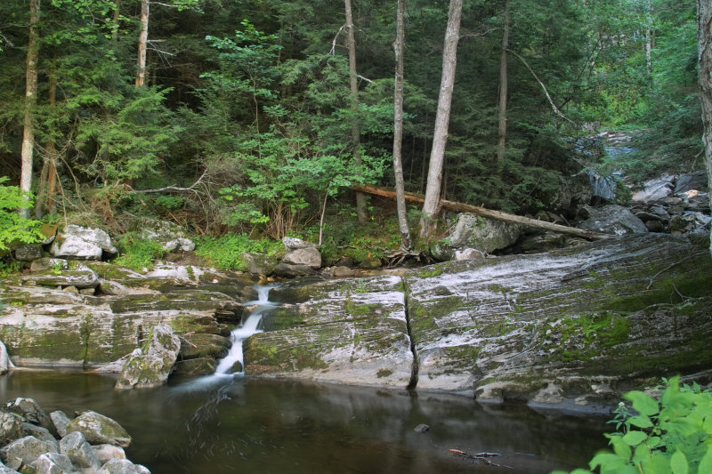 SDIM9847.jpg