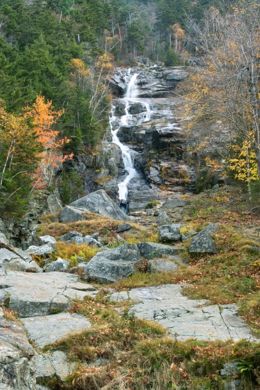SDIM0953.jpg