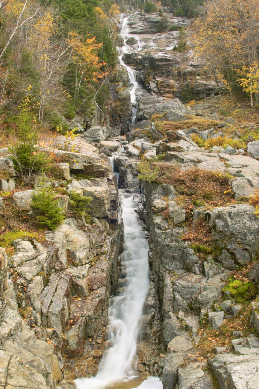 SDIM0954.jpg