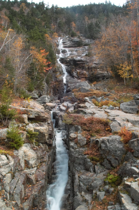 SDIM0957.jpg