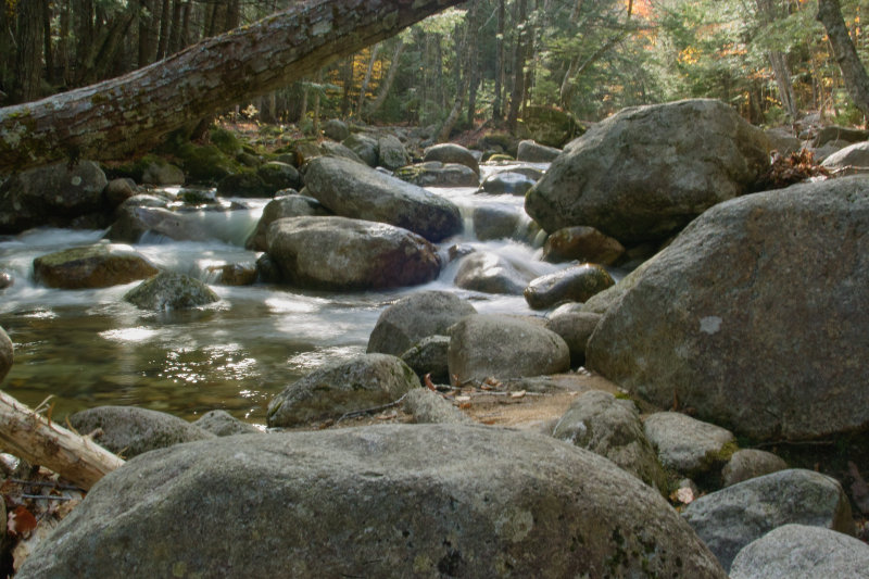 SDIM1057.jpg