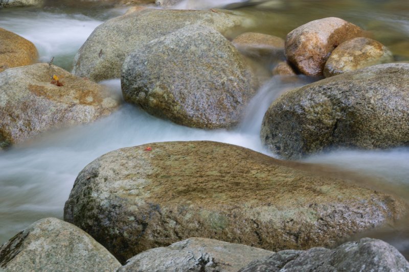SDIM1091.jpg