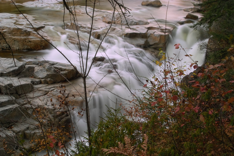 SDIM1117.jpg