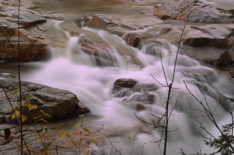 SDIM1119.jpg