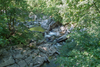 SDIM9736.jpg