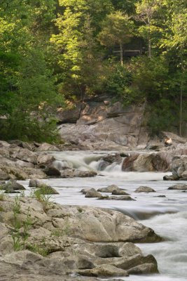 SDIM9758.jpg