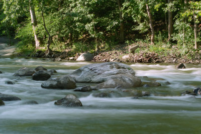 SDIM9762.jpg