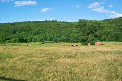 SDIM9812.jpg