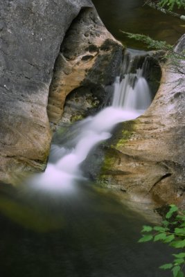 SDIM9849.jpg